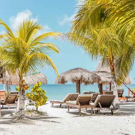 Zomay Beachfront Holbox-2